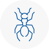 Ant Removals In Moorends