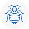 Bed Bug Extermination In Moorends