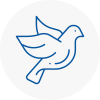 Bird Prevention Moorends