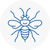 Moorends Hornet Nest Removals
