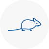 Mice Exterminators In Moorends