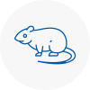 Rat Control Moorends