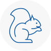 Moorends Rodent Removals
