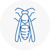 Moorends Wasp Nest Removal